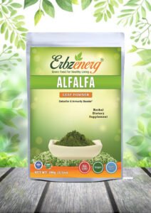 Pure Alfalfa Leaf Powder for Protein Supplement - Erbzenerg