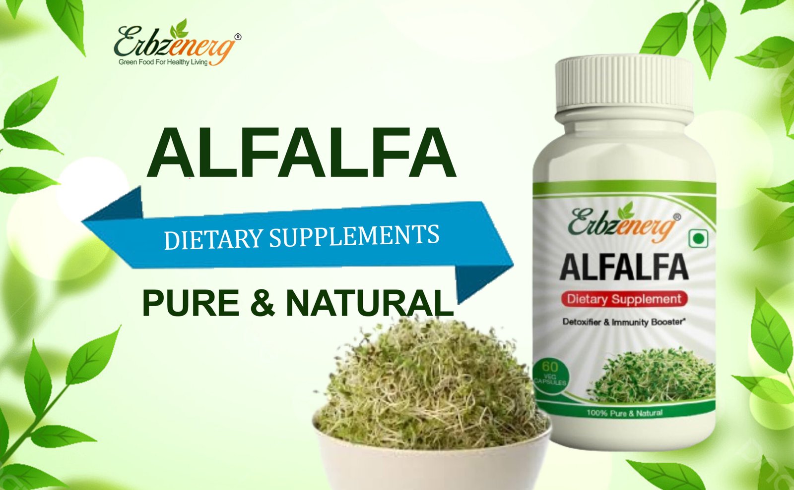 Alfalfa Capsule-01