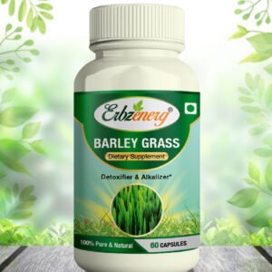 BARLEY GRASS Capsule