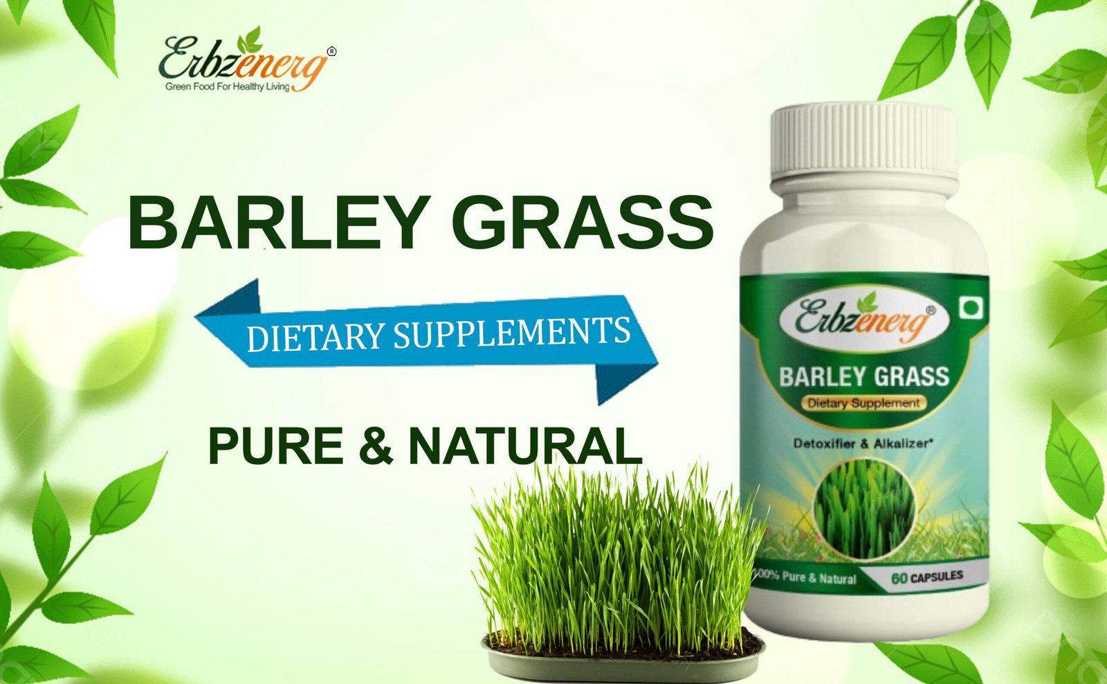 Barley Grass Capsule-01