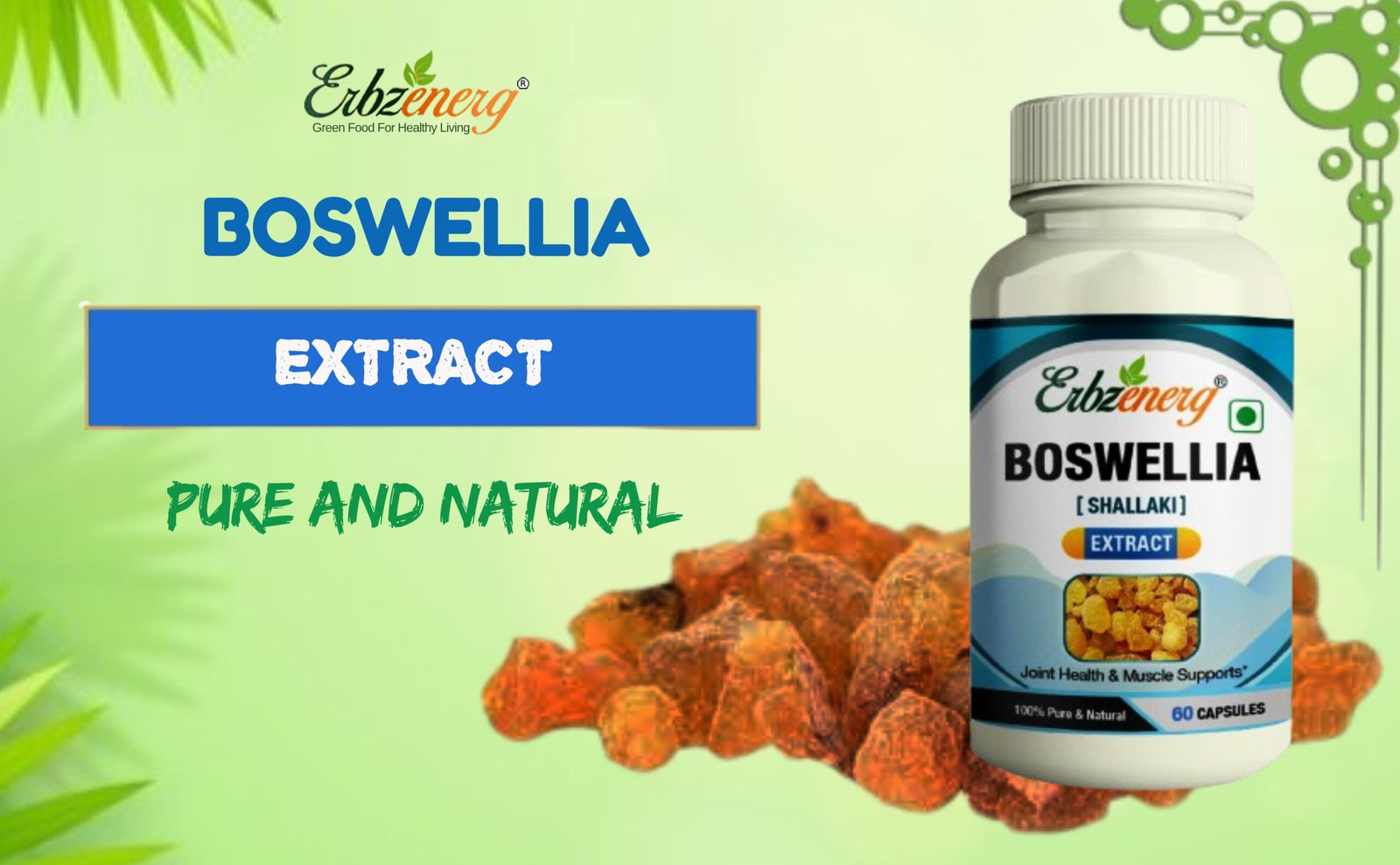 Boswellia Capsule-01