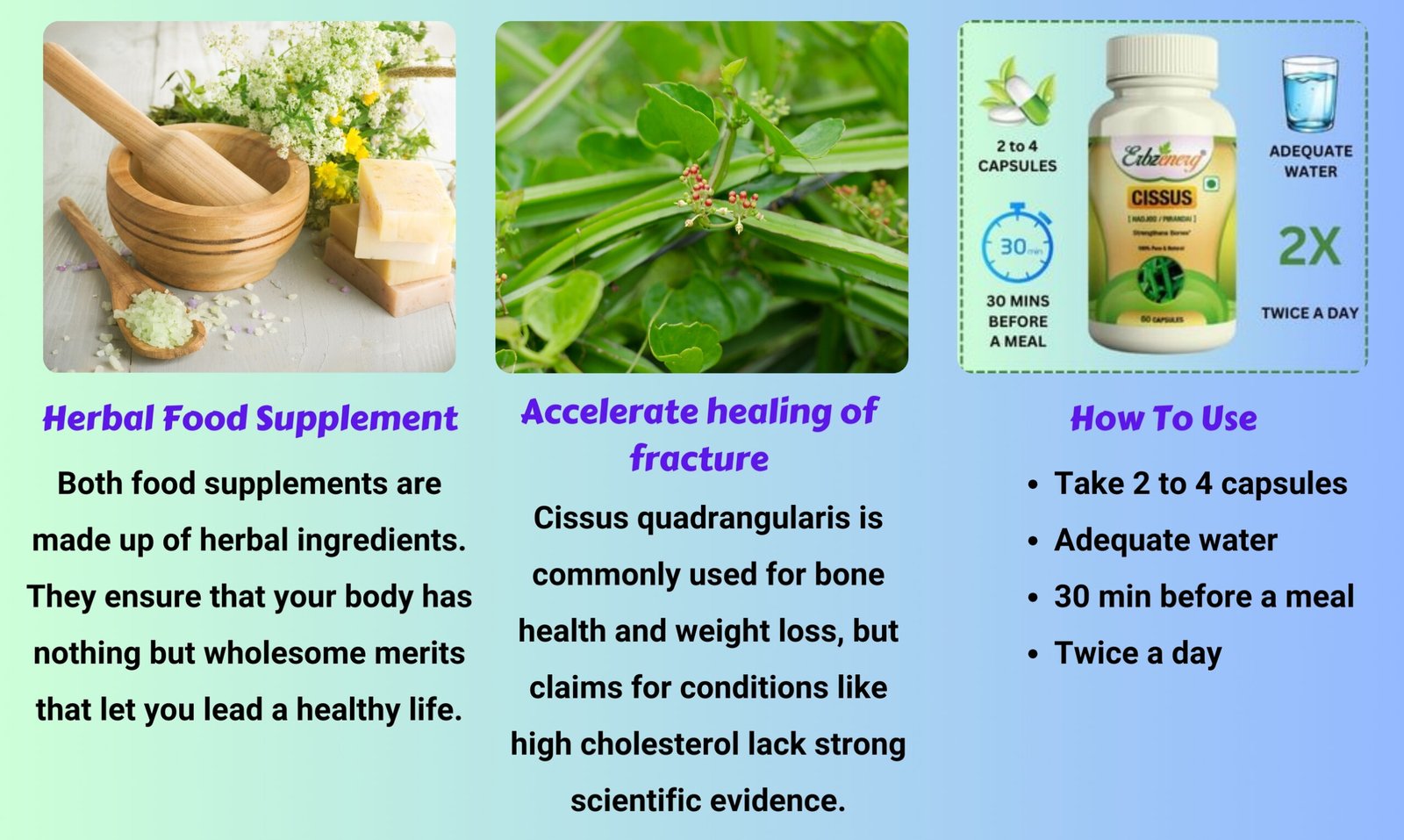 Cissus Quadrangularis Capsule-03