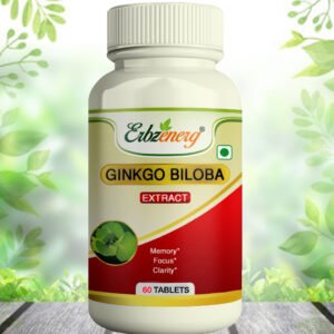 GINKGO BILOBA TABLET