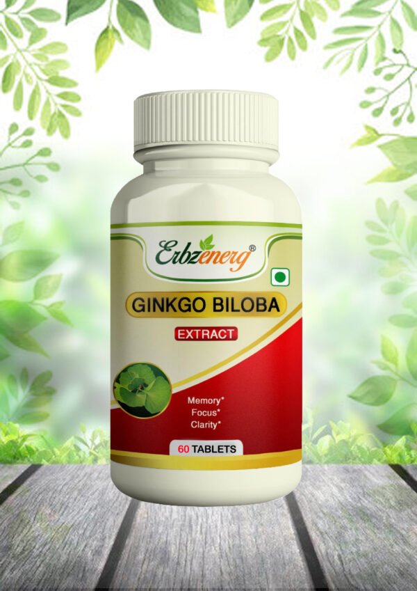 GINKGO BILOBA TABLET