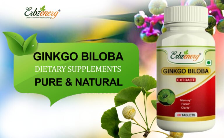 Ginkgo Biloba Tablet-01