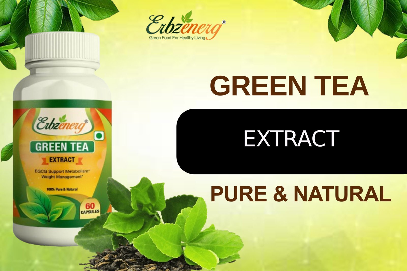 Green Tea Capsule-01