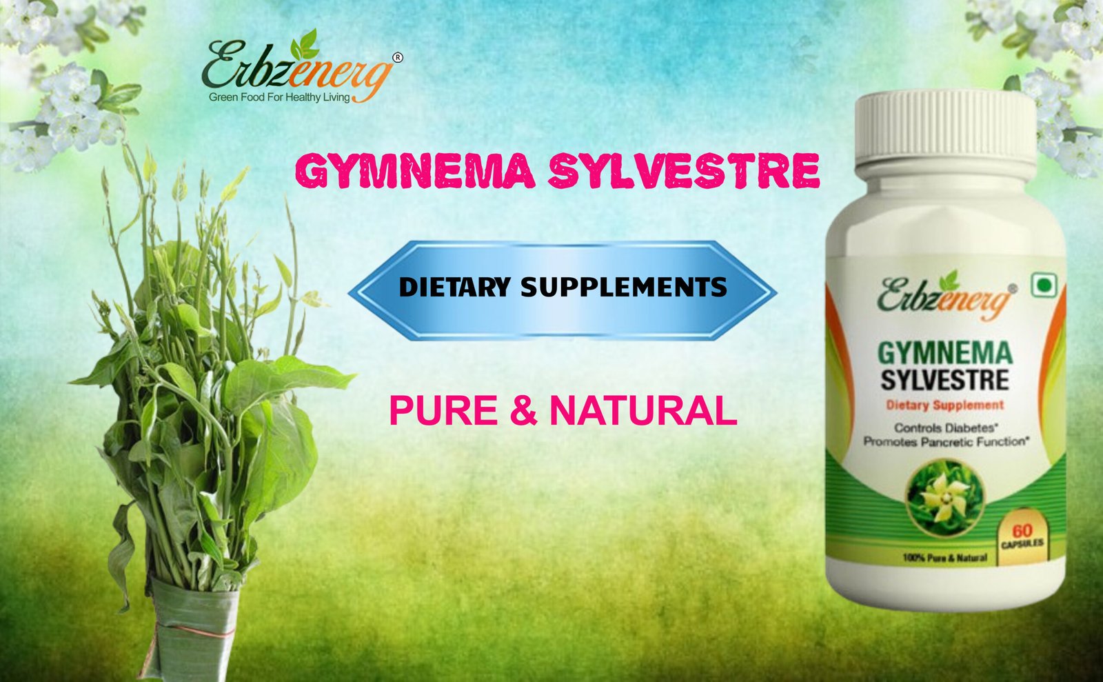 Gymnema Sylvestre Capsule-01