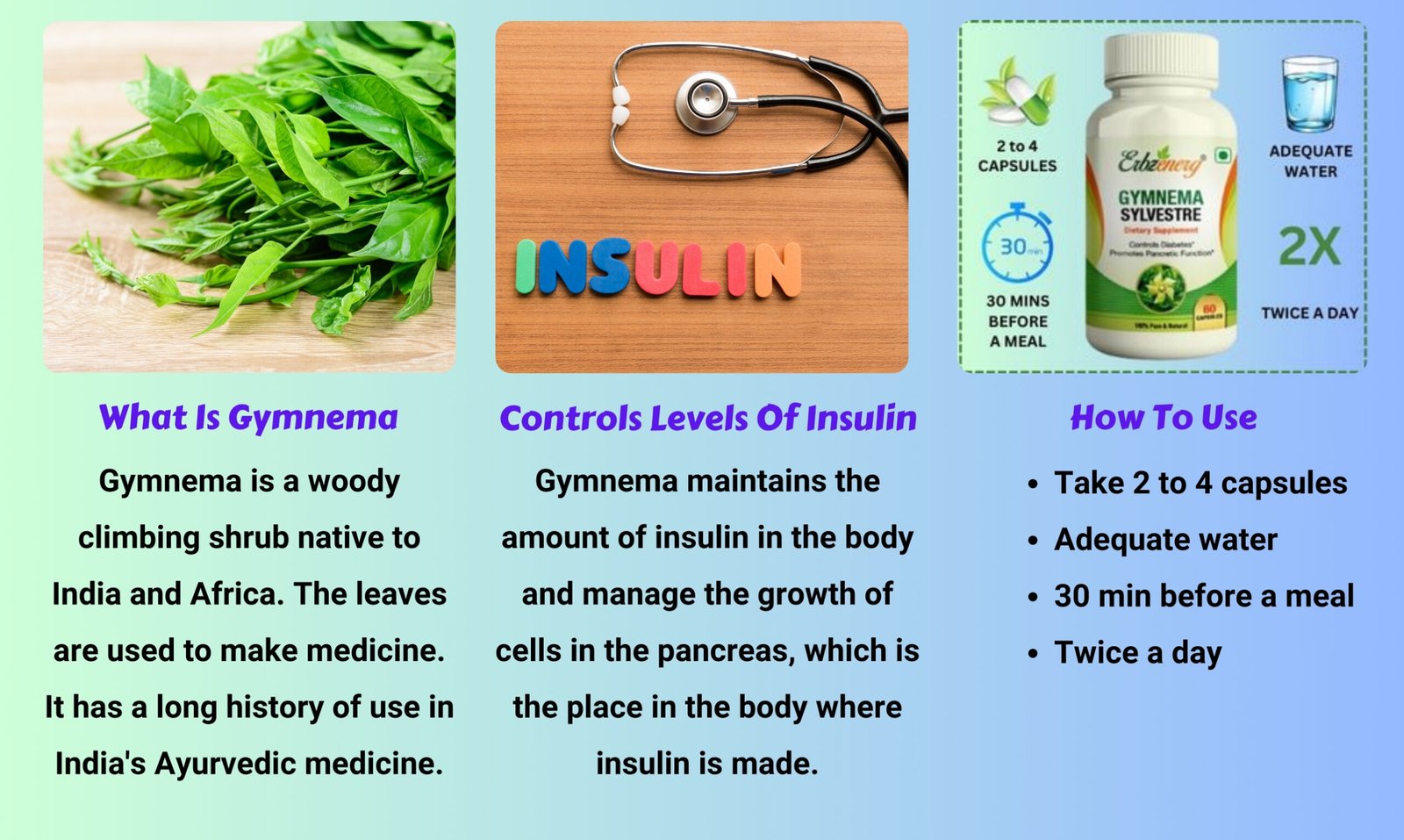 Gymnema Sylvestre Capsule-03