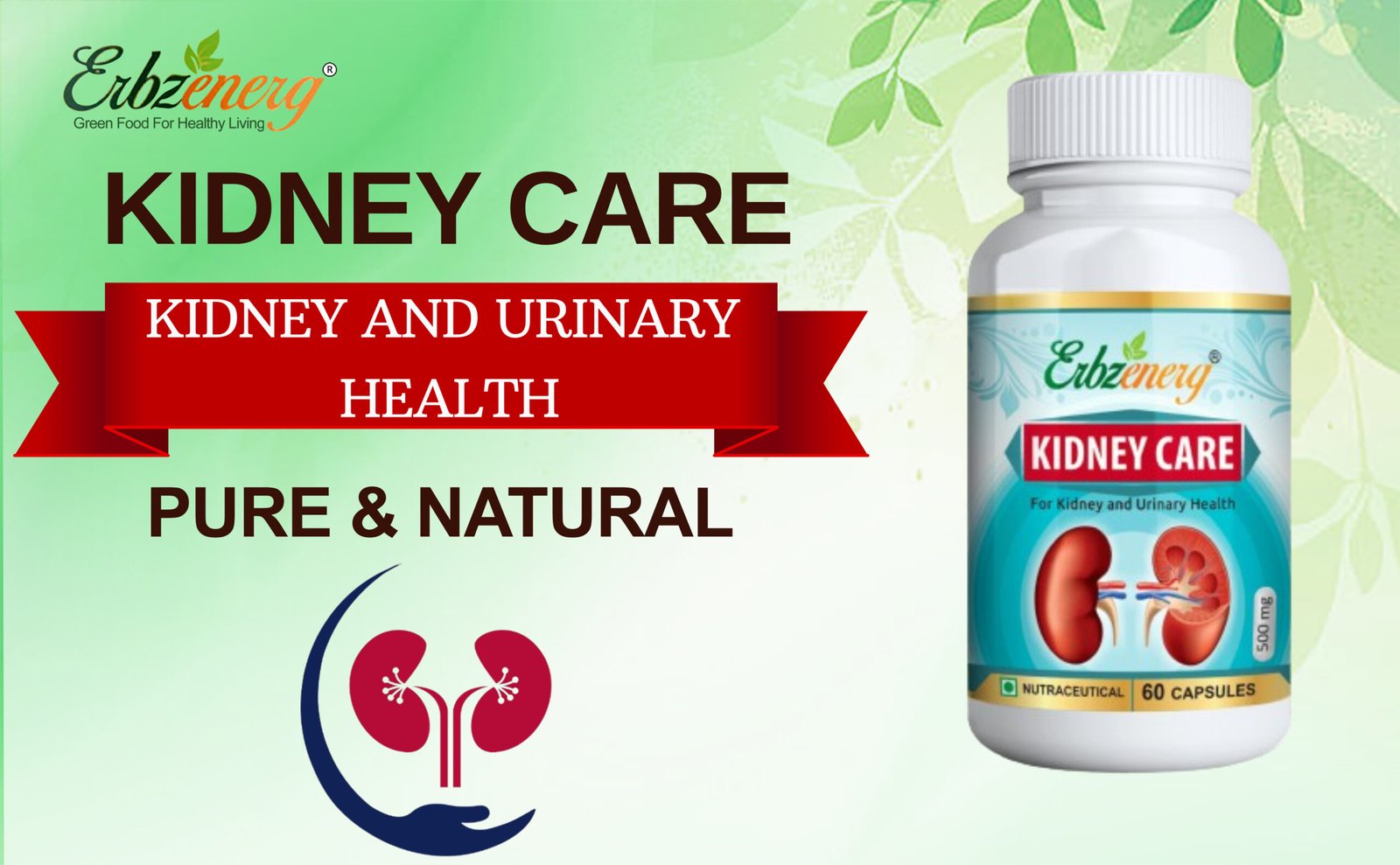 Kidney care capsule-01