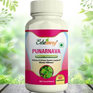 PUNARNAVA Capsule