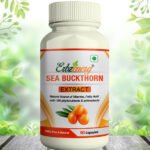 SEA BUCKTHORN Capsule