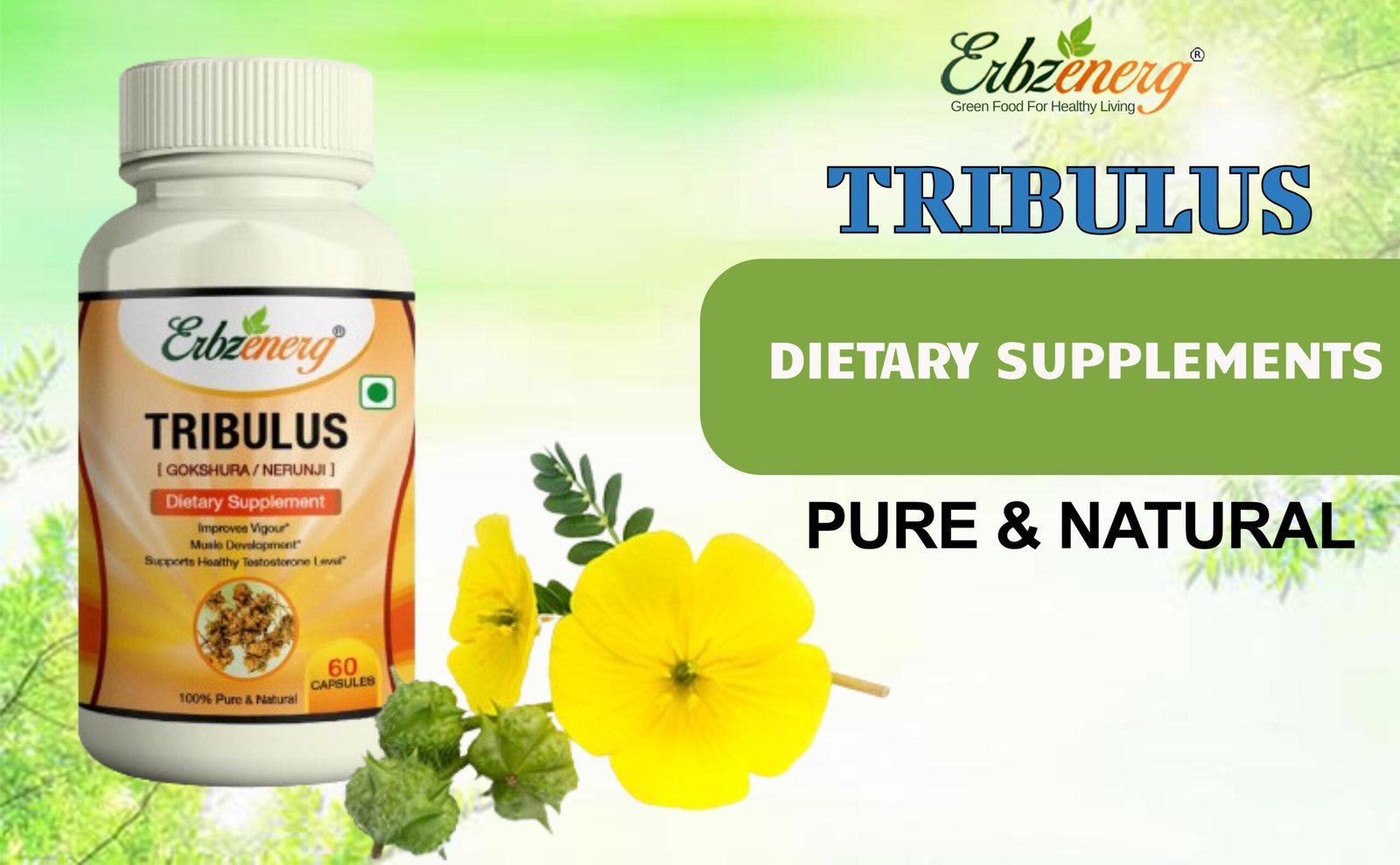 Tribulus Capsule-01