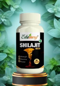 SHILAJIT capsule - 90